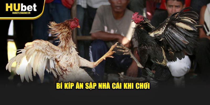 Bí kíp ăn sập nhà cái khi chơi