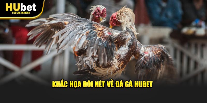 Khắc họa đôi nét về đá gà HUBET