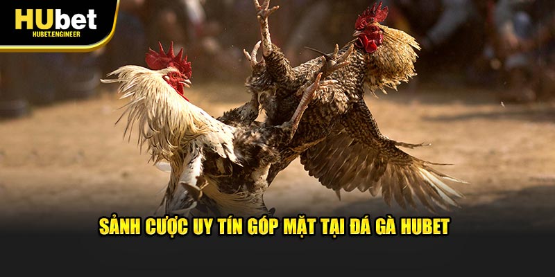Sảnh cược uy tín góp mặt tại đá gà HUBET